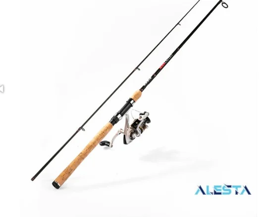 SPIN EXPERT SPIN EXPERT 210 CM 1-10G LF 2P KARBON - Görsel 1
