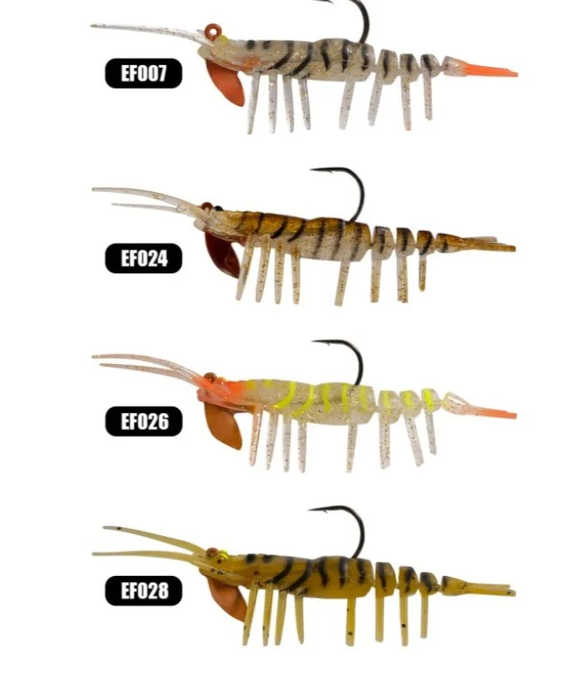 CARIDINA Effe Sasi Caridina - Görsel 1