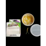 PANDORA SHAKY BOX - Görsel 2